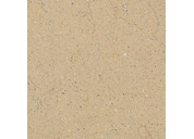 Shell-Sandstone-Series-Porcelain-Rustic-Tile-YS610M